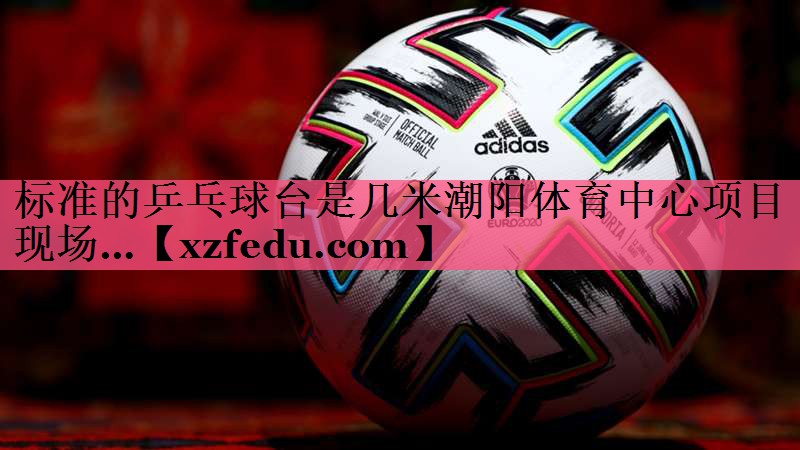 标准的乒乓球台是几米潮阳体育中心项目现场…