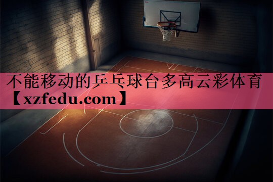 不能移动的乒乓球台多高云彩体育