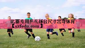 比赛专用乒乓球台尺寸出奇体育