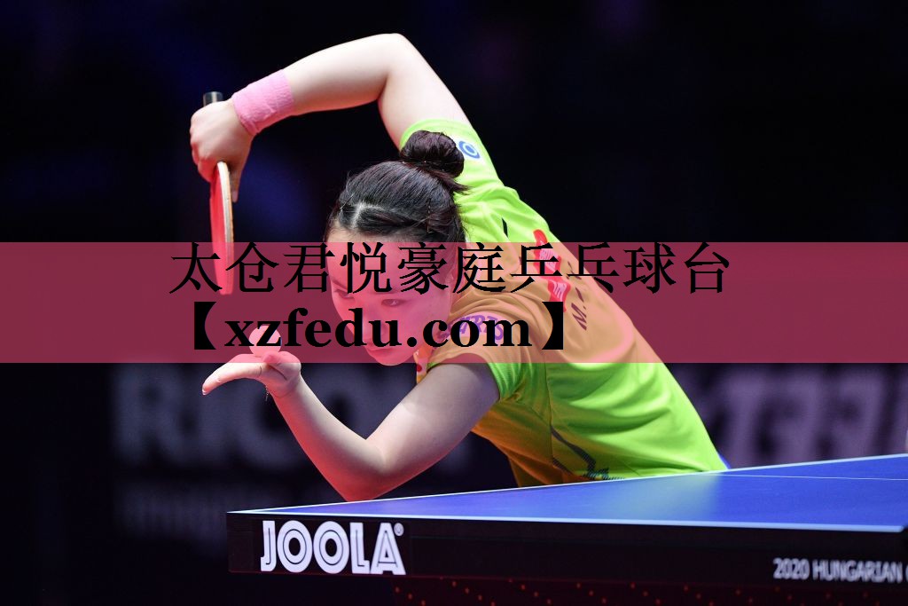 太仓君悦豪庭乒乓球台