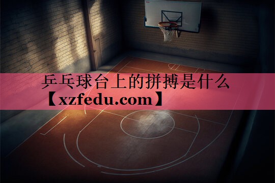 乒乓球台上的拼搏是什么